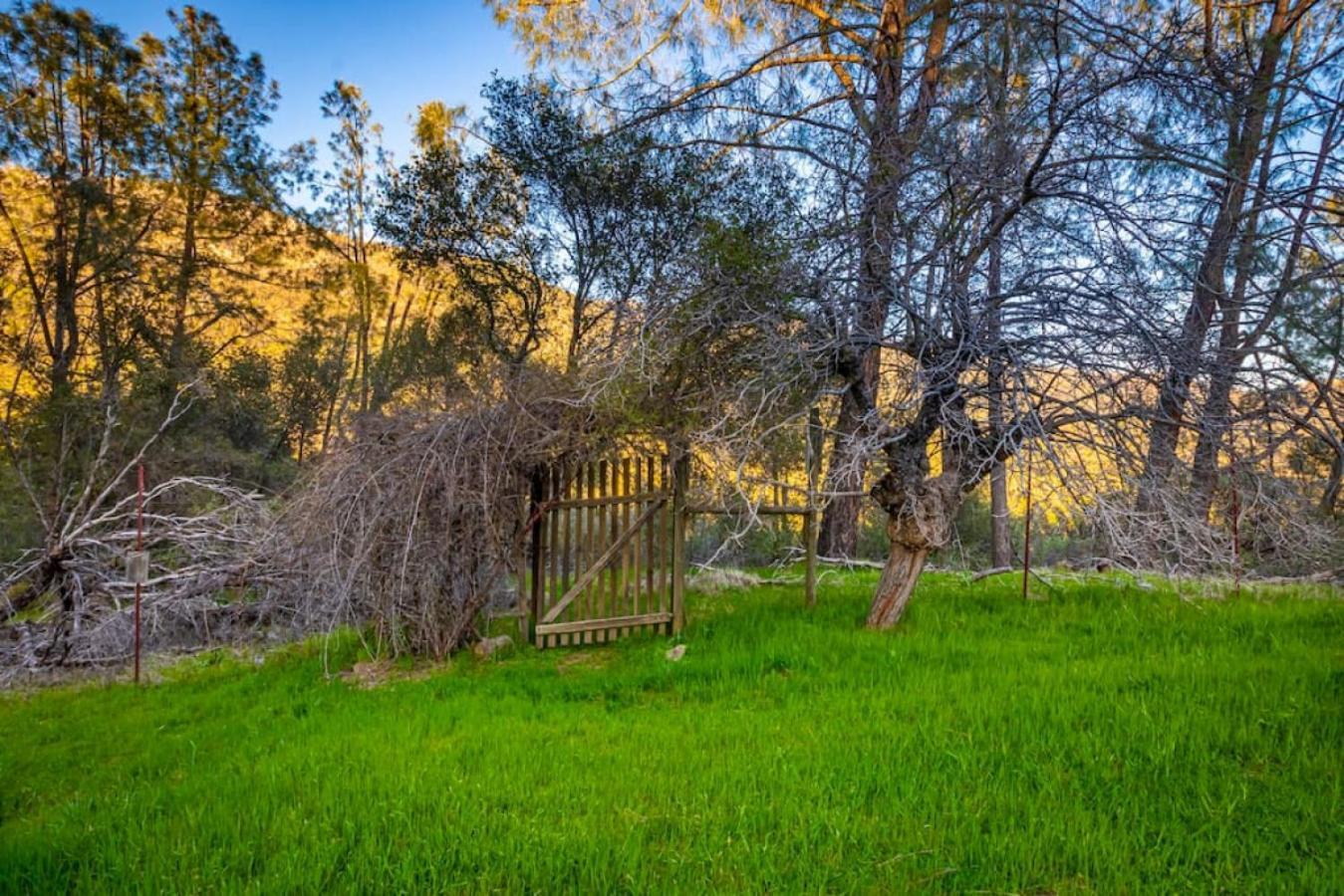 Sierra Vista Lookout Lodge With Creek, Waterfall And Waterholes, Minutes From Bass Lake And Yosemite South Gate North Fork Exteriér fotografie