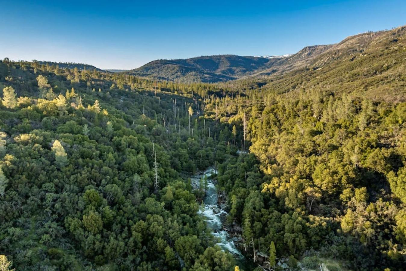 Sierra Vista Lookout Lodge With Creek, Waterfall And Waterholes, Minutes From Bass Lake And Yosemite South Gate North Fork Exteriér fotografie